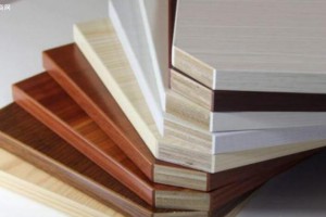 实木颗粒板和生态板哪个好？
