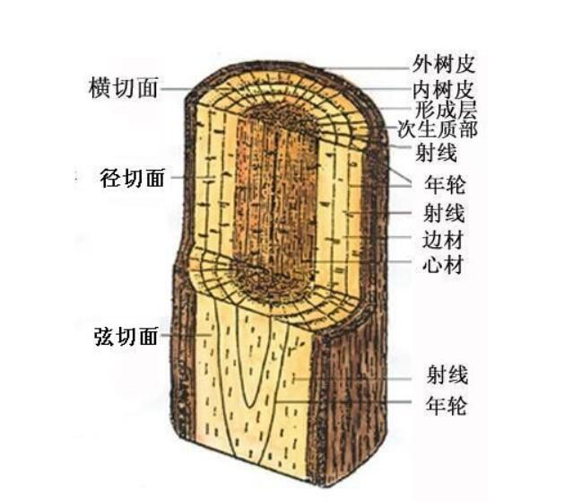 红木家具中有白皮的存在，还算是红木家具吗？