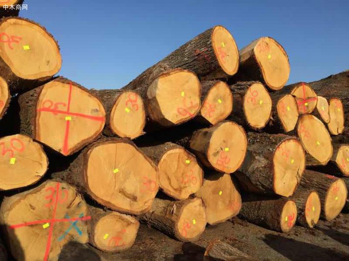 欧洲白橡木原木板材的优缺点