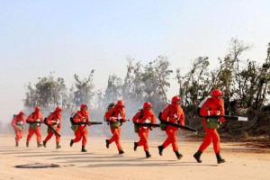 九江市濂溪区开展森林防火知识技能和火场急救培训活动