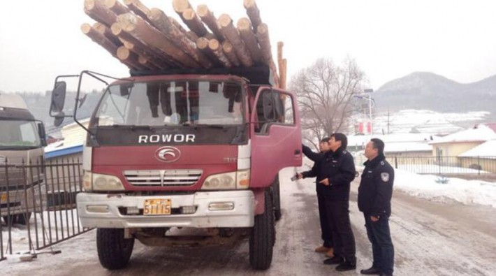 满洲里开展非法运输木材车辆大整顿行动