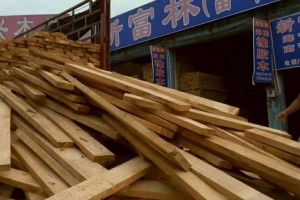 东莞市兴富林木业供应国产橡胶木板自然宽图3