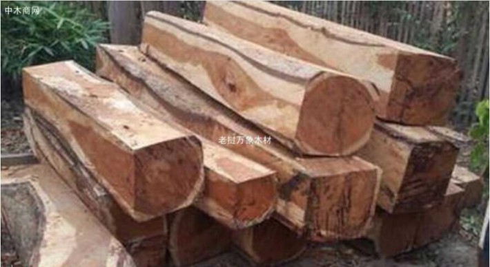 老挝禁止原木出口政令取得成效