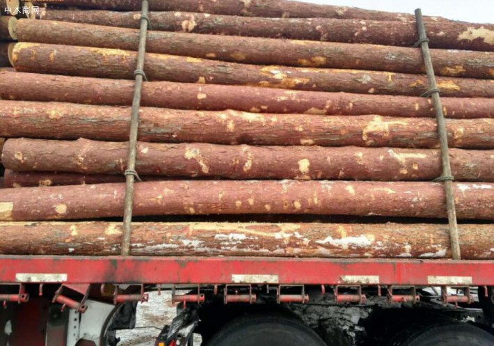俄罗斯木材对华出口禁令或导致该行业动荡