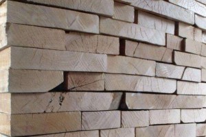 西南桦实木板材的优缺点？