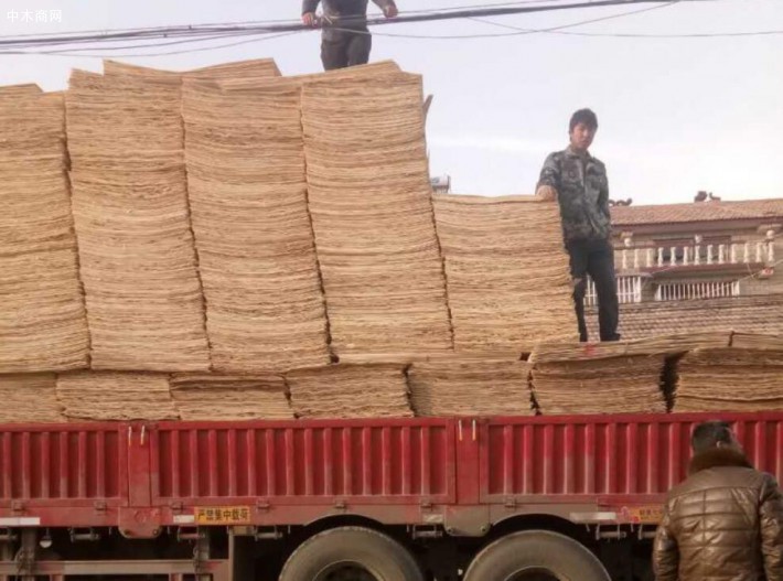 江苏徐州青松木业位于徐州市丰县，长期生产杨木三拼，杨木单板，杨木板皮，杨木面板的品牌企业