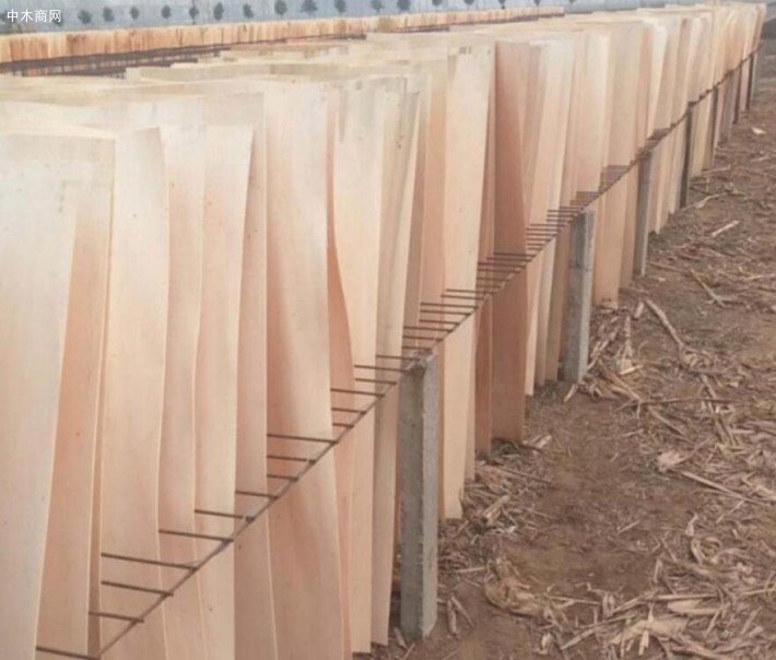 杨木人造板受潮，易变形、收缩严重是杨木人造板家具的缺点