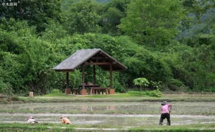 用餐区