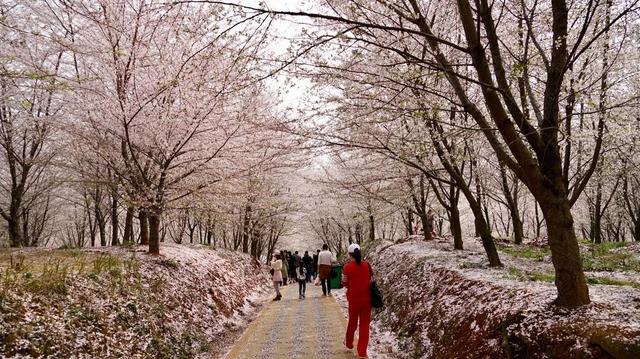 平坝农场坐落于高原明珠红枫湖畔