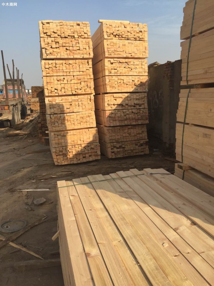 开封专业木材加工建筑木方