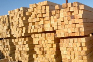 新乡建筑木方工程木方多少钱一方图1