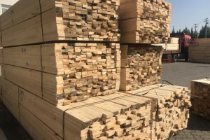 新乡建筑木方工程木方多少钱一方图3