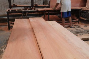 印尼大叶桃花心木板材是什么？