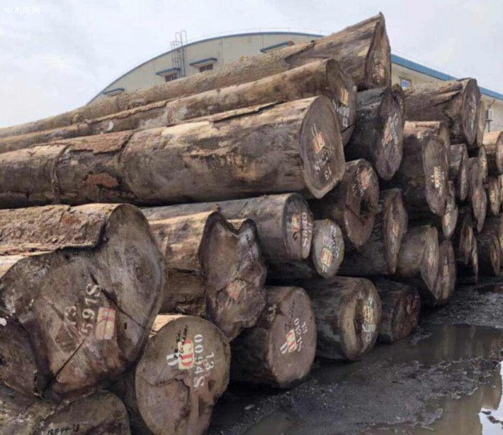  非洲发展银行在利比里亚启动120万美元木材加工项目