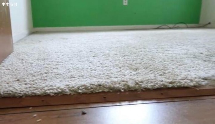 原本室内地面铺的是木地板，上面铺的是米白色的毯子