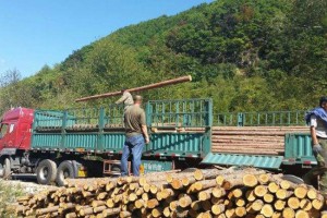 松木桩 圆木柱 原木桩 园林建设河道打木桩 可削尖图3