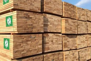 首批马来西亚进口木材正式入库保税中心