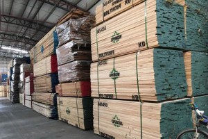 美国开始意识到硬木出口市场多样化的重要性