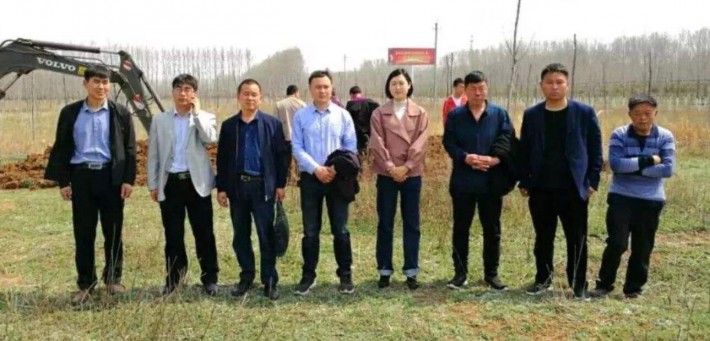 洛阳市领导视察洛宁三环华兰木业项目「木业企业」