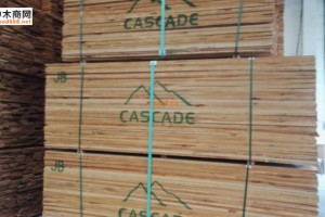 供应各等级规格的美国赤杨木板材价格