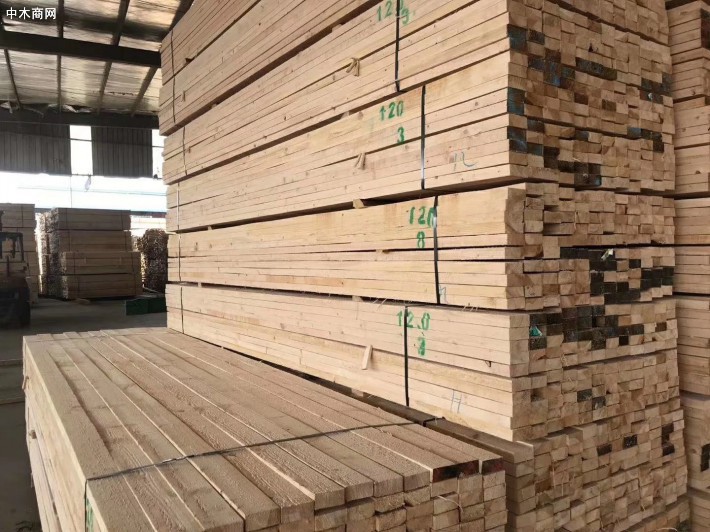 哈尔滨木材加工产业园区建设进入实质性调研阶段