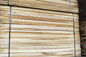 白杨木烘干板材图片_森强木材加工厂
