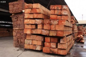 加蓬2019年第一季度木材加工总量保持增长