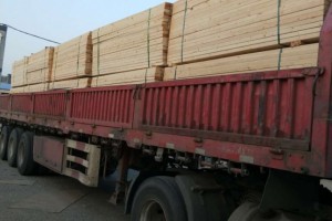 兰州新区打造全省首个俄罗斯进口木材集散分拨中心「俄罗斯材」