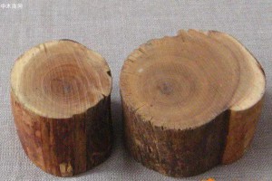 十种价值不菲的木材，来盘一盘