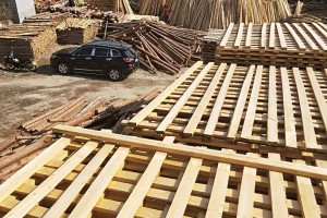 杉木建筑木方加工厂视频