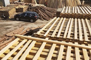 香杉木建筑工程木方最新报价