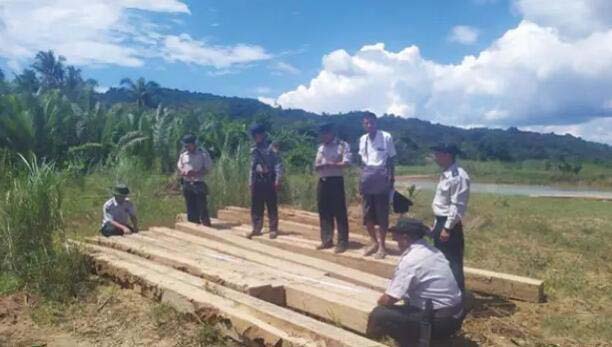 边境林业局在小河旁边发现13吨木材