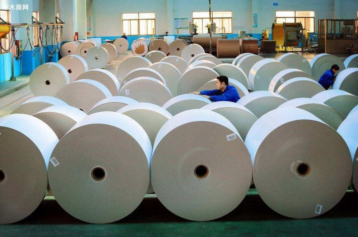 白杨木板材价格多少钱一立方米今日最新报价加工