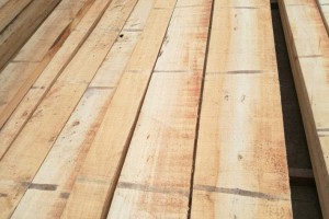 河南白杨木烘干板材厂家批发价格是多少