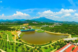 四川广安生态木业产业园高质量发展