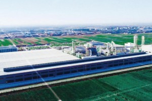 徐州博枫木业胶合板项目环评获批通过