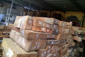 菏泽曹县工信局举办木材加工业专题培训