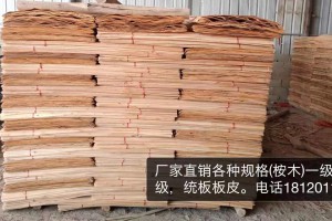 广西桉木板皮子生产厂家加工视频
