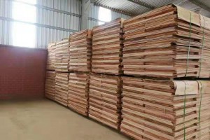 广西桉木板皮单板生产厂家实物视频
