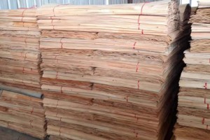 广西桉木板皮子厂家批发价格图1