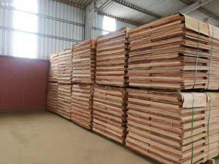 广西桉木板皮子厂家批发价格图片
