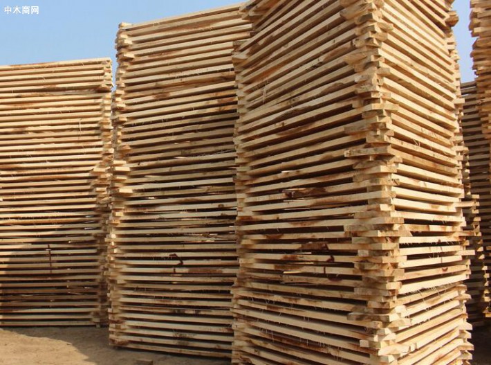 白杨木板材厂家批发价格多少钱一立方米今日最新报价