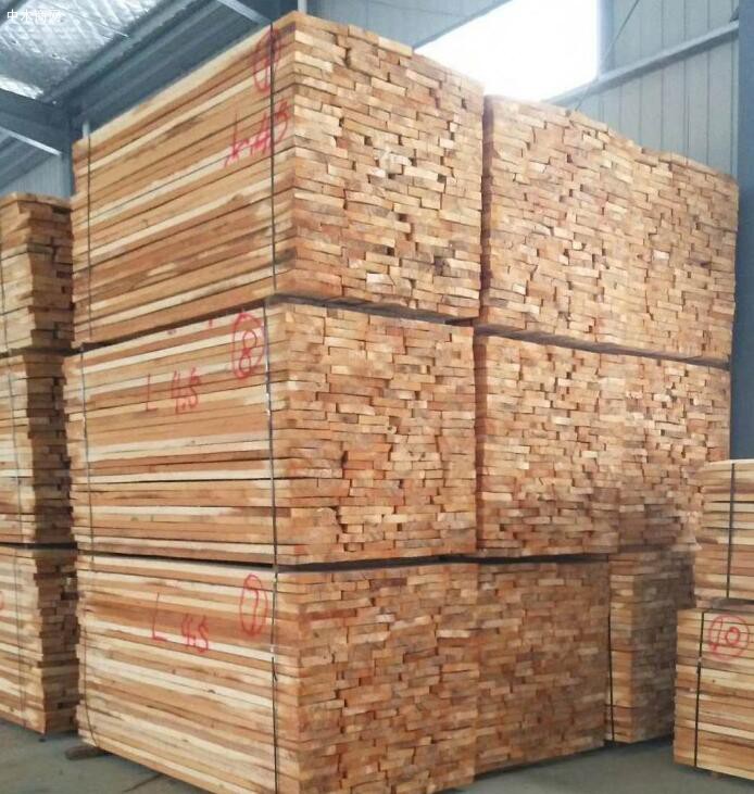 白杨木板材价格多少钱一立方米今日最新报价厂家