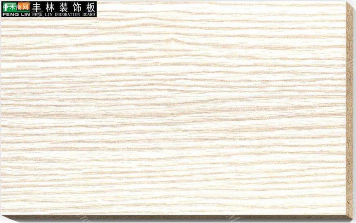  广西丰林木业人造板自动化生产基地建设通过验收