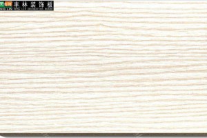 广西丰林木业人造板自动化生产基地建设通过验收
