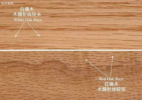 橡木（oak）：可以分为白橡木