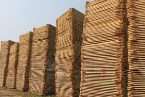白杨木板材这种木材做家具的优点及河南白杨木烘干板最新价格报价