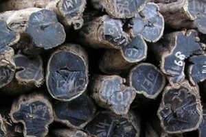 印尼黑酸枝家具木材，印尼黑酸枝原木，印尼黑酸枝板材