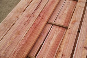 血椿木板材也叫红椿木板材,香椿木烘干板实物高清图片