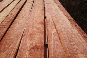 红椿木烘干板材，香椿木板材中木纹最美丽的是血椿木板材视频